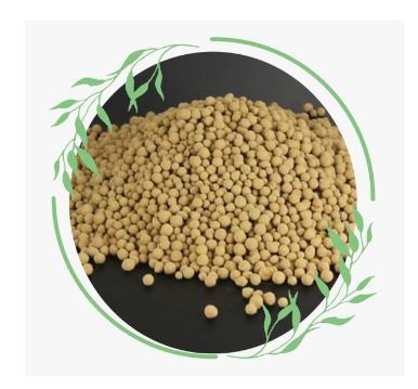 ROCK PHOSPHATE POWDER (GRP)25%